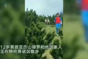 狼嚎烟花让男孩丧命，悲剧背后我们该警醒什么？