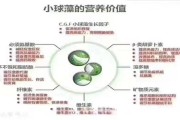 海藻功效作用与主治功能