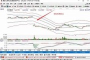 华信新材股息派发与除权除息日的影响分析