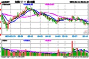 隆基绿能在动荡市场中寻求稳定增长