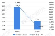 中国美容行业分析报告