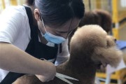 宠物美容师资格证报名