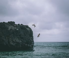 深度解析梦境中的蛇，周公解梦的神秘启示与心理解读