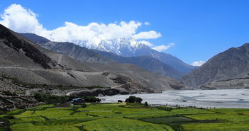 阿尔山旅游全攻略，探寻北疆秘境的四季风情