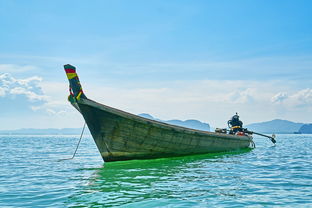 探索合肥海洋世界的奇妙之旅，优惠攻略与亲子互动指南