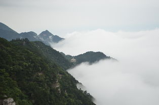 探秘仙境之旅，白水寨一日游全攻略，让你的山水之行不留遗憾！