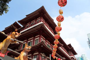 西安青龙寺，历史的瑰宝与文化探索之旅