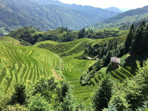 桂林旅游自由行全攻略，深度探索山水甲天下之秘境