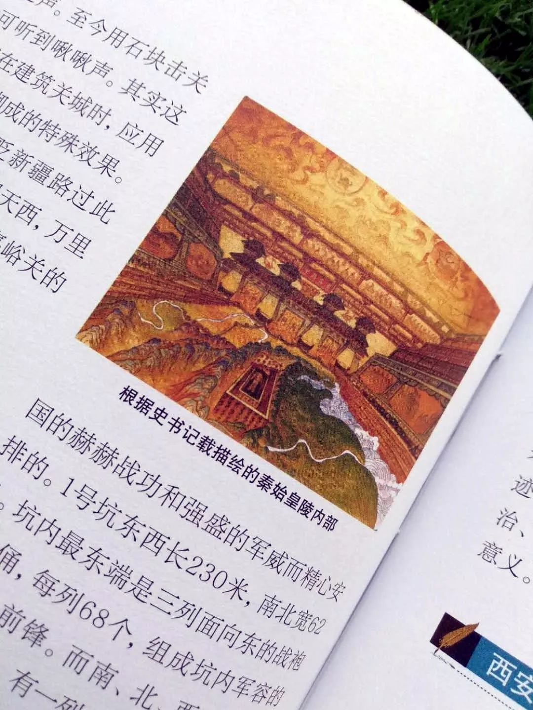 百科全知识app：你的随身智能知识库，随时随地解决疑问
