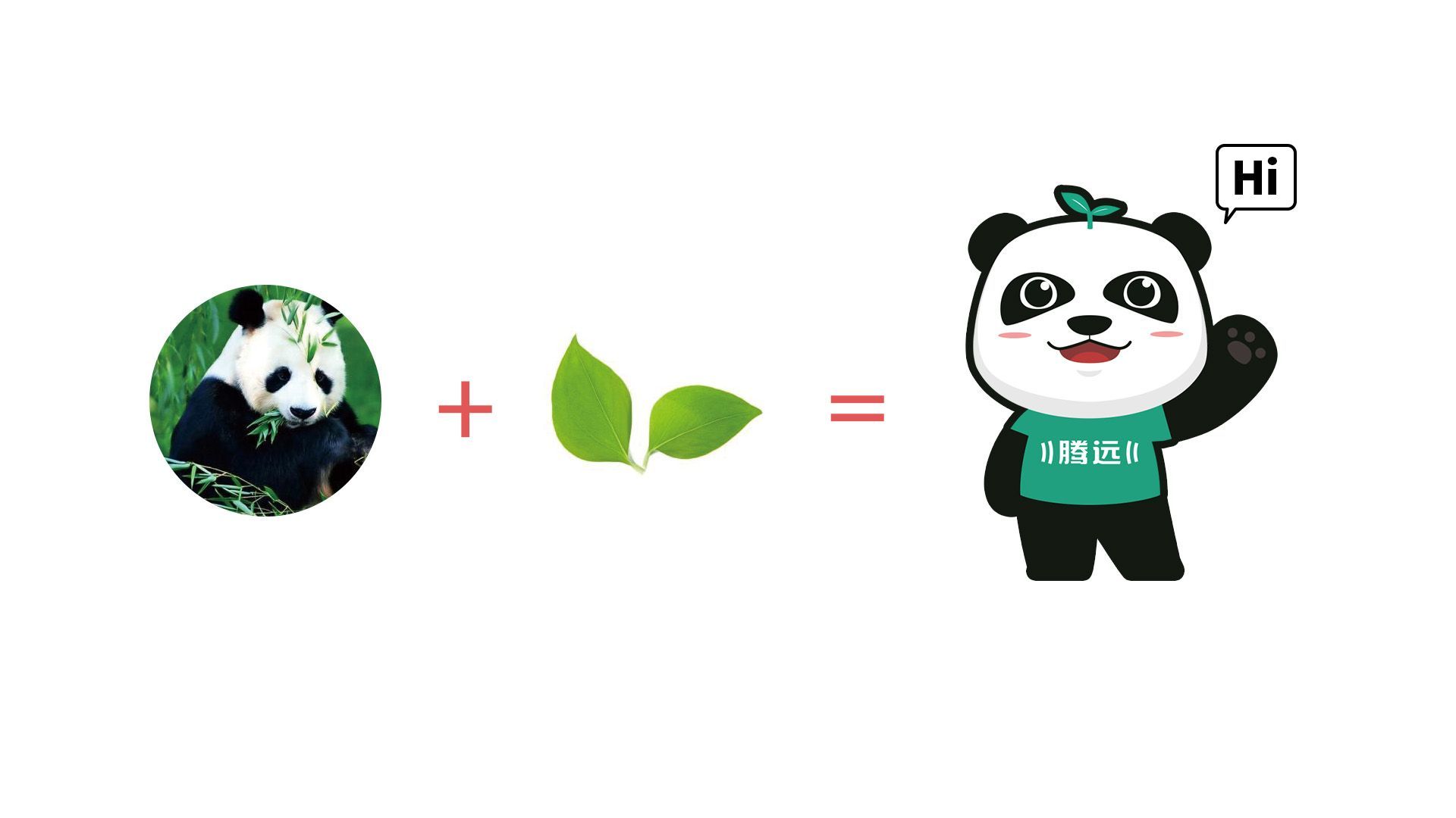 熊猫形象的知识产权保护与打假行动