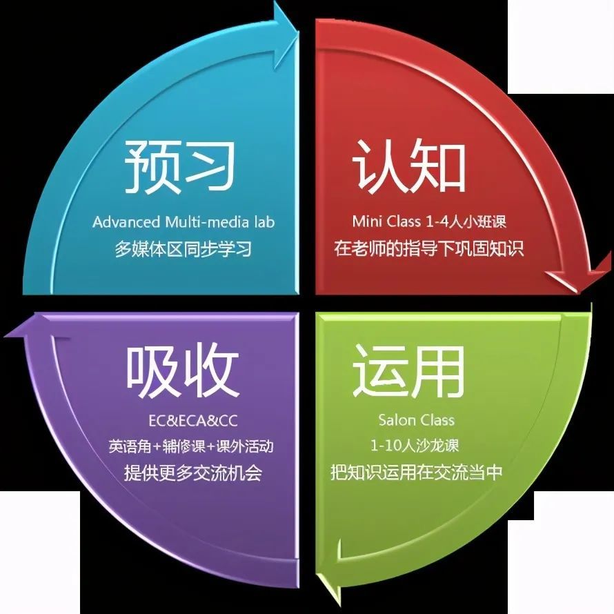 全知全解：如何彻底掌握任何领域，轻松成为认知高手