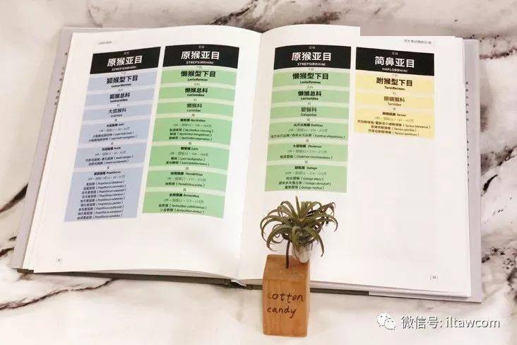 百科全书最全的叫什么？权威推荐与选择指南，帮你轻松找到最全面的知识宝库